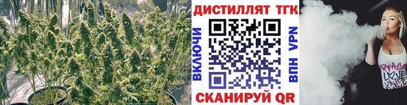 Дистиллят ТГК концентрат  Буй 