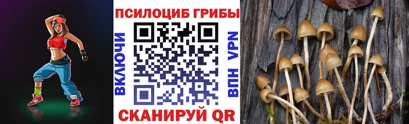 Галлюциногенные грибы мухоморы  Буй 