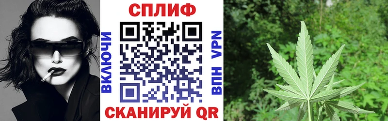Конопля SATIVA & INDICA Буй